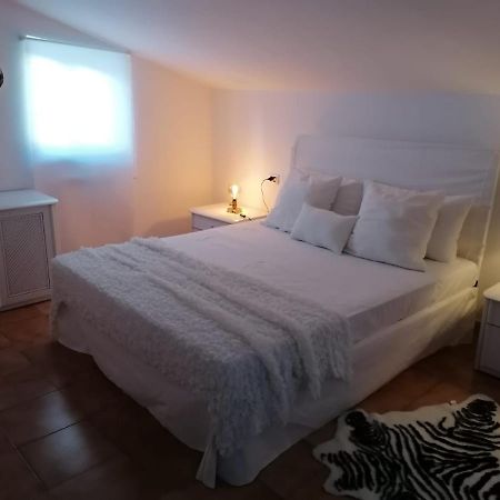 Bramante-12 Apartment Pescara Bagian luar foto
